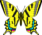 butterfly.gif (6652 bytes)